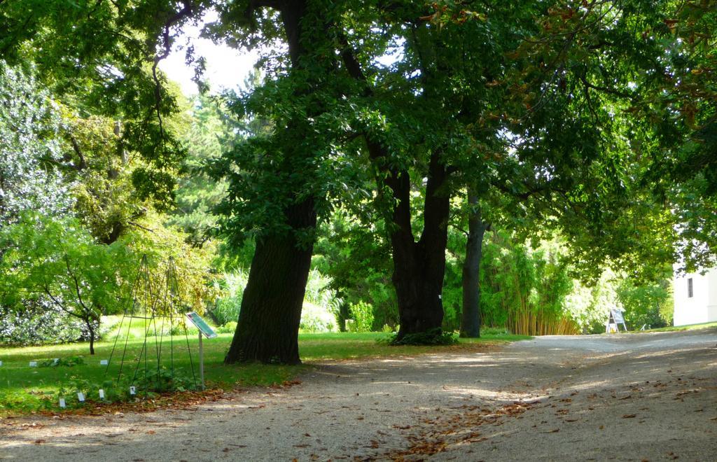 Streetview Wien - Premium Apartment Beim Belvedere エクステリア 写真
